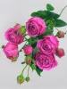 Кустовая роза пионовидная «Мисти Баблс»