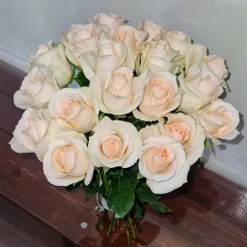 Прайст от 5000