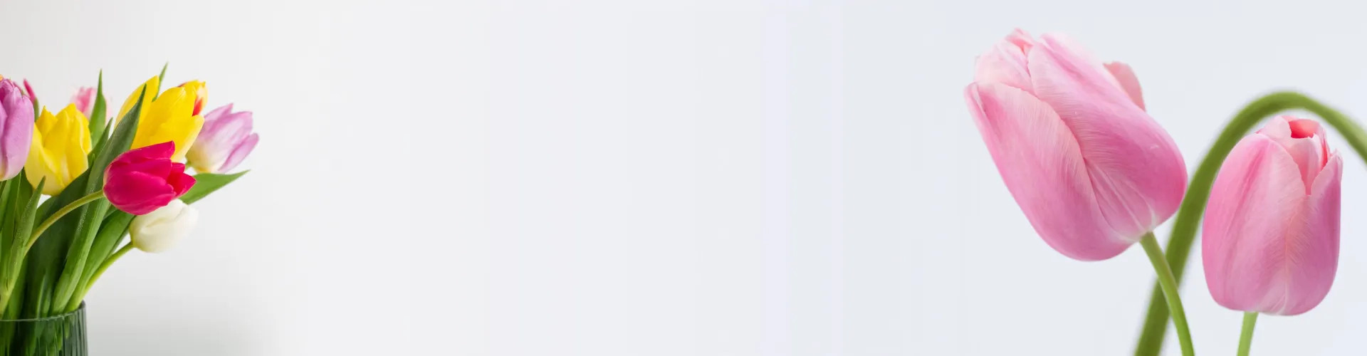 принимаем заказы на 8 марта 