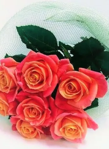 Букет из 7 роз от интернет-магазина цветов в 