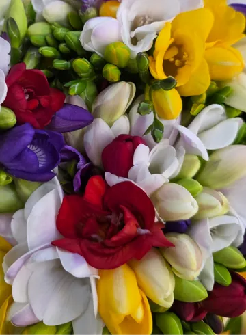 Фрезия микс В от интернет-магазина цветов в 