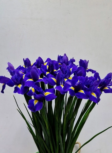 Ирис от интернет-магазина цветов в 