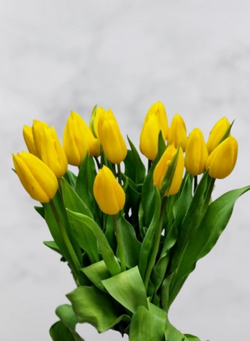 Букет желтых тюльпанов &laquo;Strong gold&raquo; от интернет-магазина цветов в 
