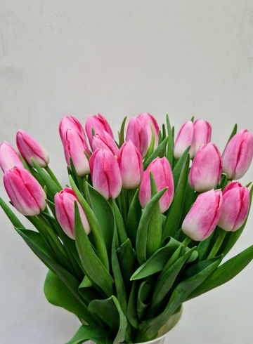 Букет розовых тюльпанов &laquo;Dynasty&raquo; от интернет-магазина цветов в 