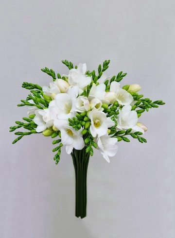 Фрезия белая «Альба» от интернет-магазина цветов в 