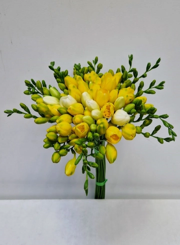 Фрезия желтая от интернет-магазина цветов в 