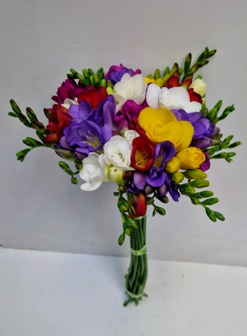 Фрезия разноцветная от интернет-магазина цветов в 