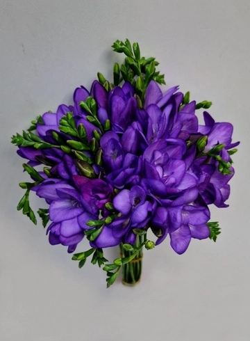 Фрезия фиолетовая от интернет-магазина цветов в 